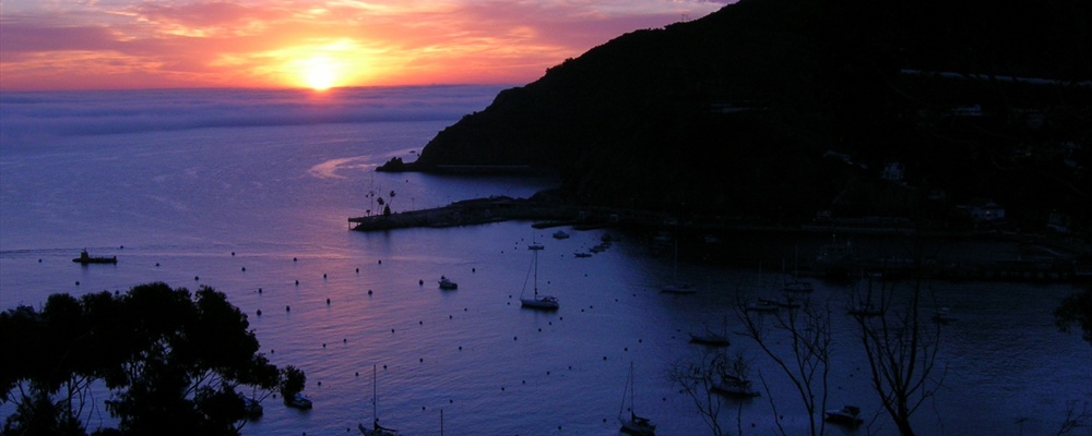 Sunrise Avalon Harbor Catalina Island